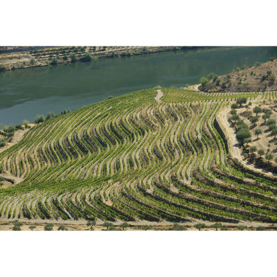 Quinta do Vale Meao 2023, Douro, 6x750ml