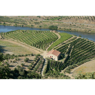 Quinta do Vale Meao 2022, Douro, 6x750ml