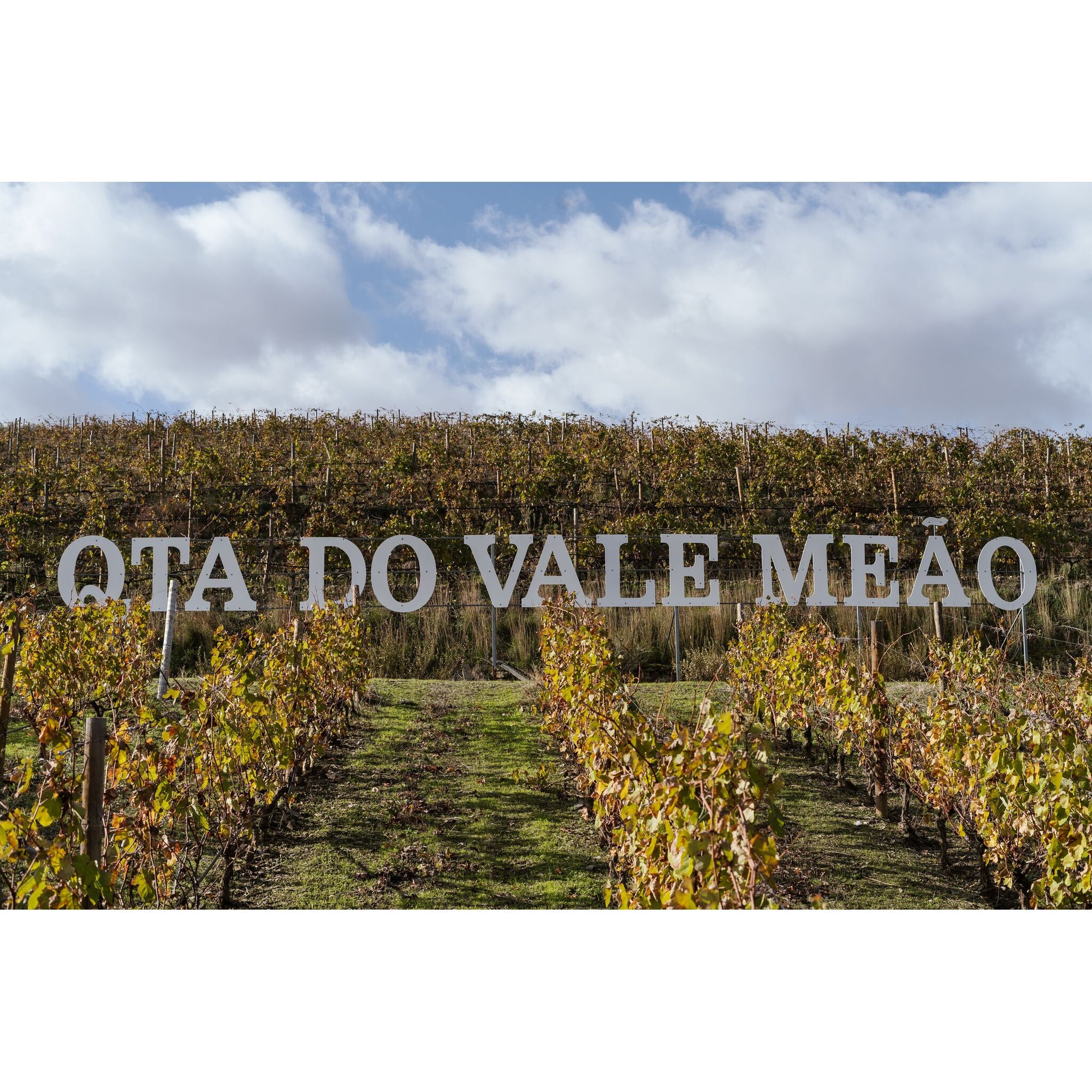 Quinta do Vale Meao 2023, Douro, 6x750ml